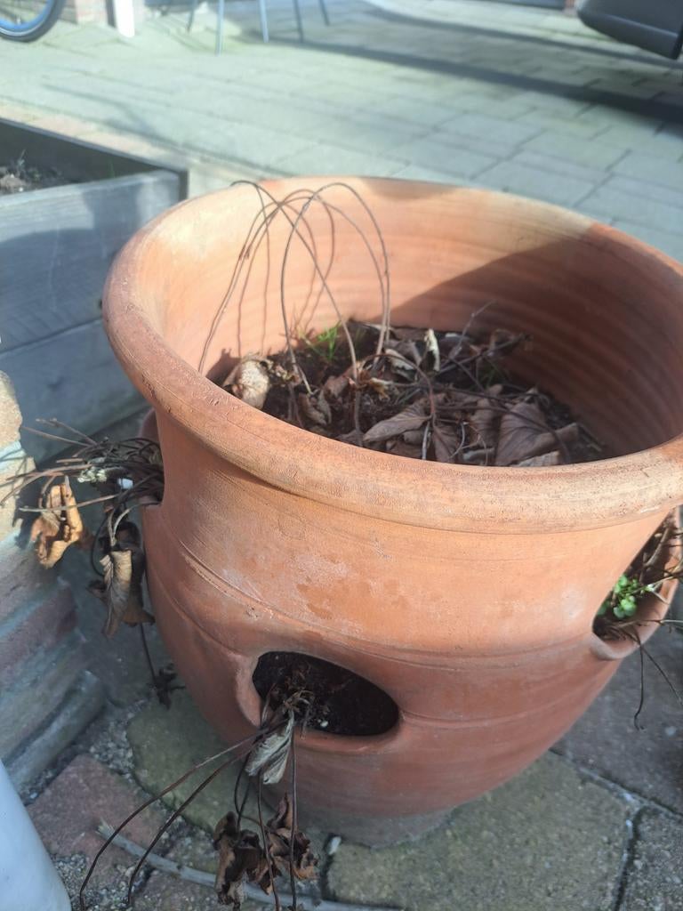 Terracotta kruik pot bak zonder aardbeien, Ophalen, Steen, Gebruikt, Minder dan 60 cm