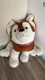 Hele grote knuffelhond, Ophalen, Zo goed als nieuw, Overige typen