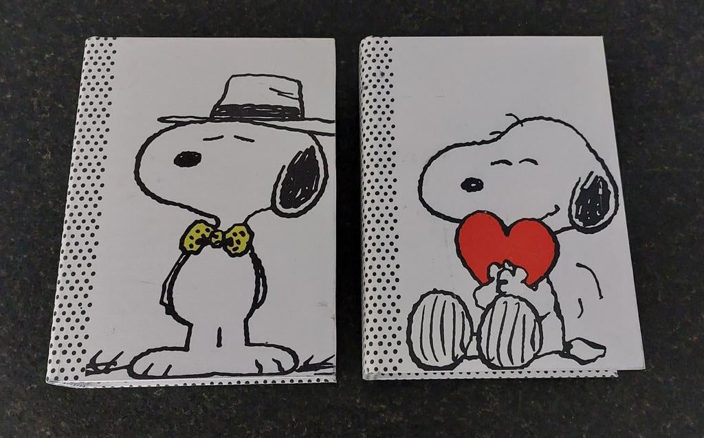 Snoopy opbergboek / geheim boek, Overige materialen, Minder dan 50 cm, Minder dan 50 cm, Ophalen of Verzenden