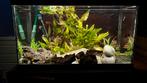 Complete aquarium set 100L incl. vissen & Ehein 250, Dieren en Toebehoren, Ophalen, Zo goed als nieuw, Overige typen