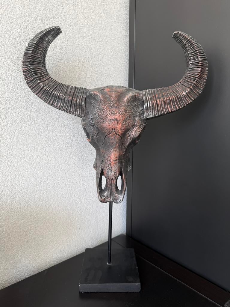 Buffelschedel decoratie, Ophalen, Zo goed als nieuw