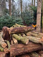 Acacia boomstammen vers gezaagd - 3,5 kuub, Tuin en Terras, Haardhout, 3 tot 6 m³, Ophalen, Overige houtsoorten, Stammen