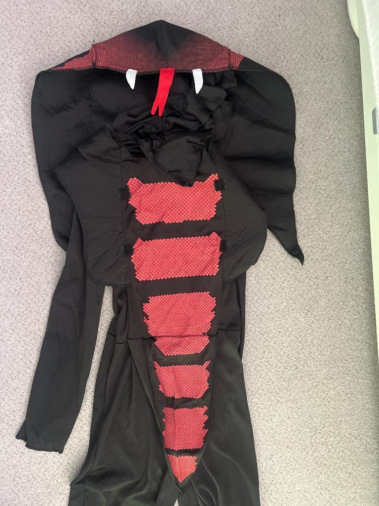 Verkleedpak slang 7-8 jaar, Ophalen of Verzenden, Gebruikt, 122 t/m 128, Jongen of Meisje