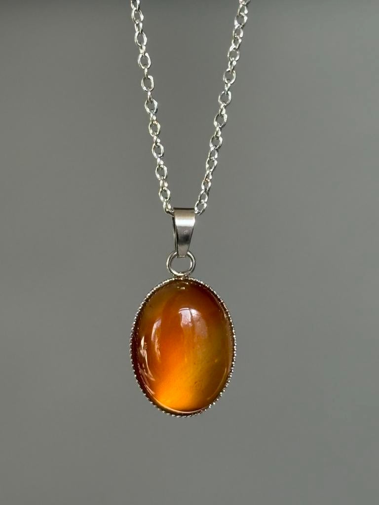 Oranje/rode Agaat ketting met RVS hanger en ketting, Nieuw, Ophalen of Verzenden, Steen of Mineraal, Cariad Gems