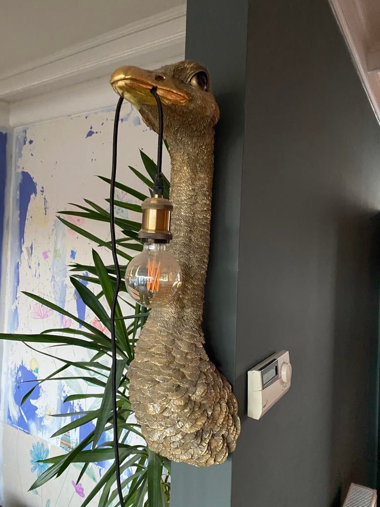 Struisvogellamp wand lamp, Ophalen