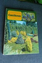 Coniferen, Ophalen of Verzenden, Tuinieren en Tuinplanten