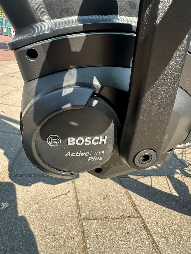 Stella Morena E-bike met Bosch Active Line Plus en Nexus 8, Overige merken, Verzenden, Nieuw, 51 tot 55 cm
