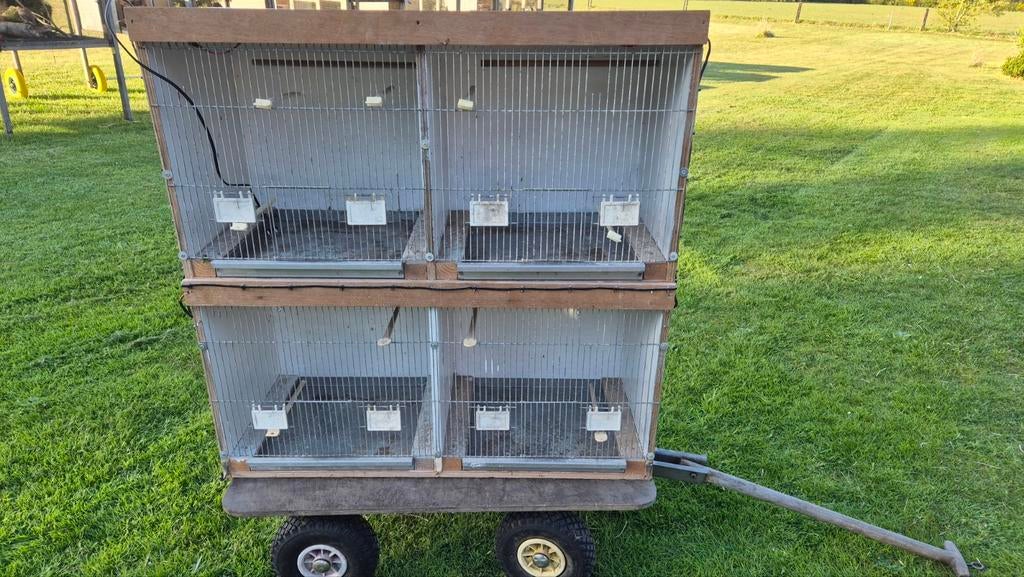 Broedkooien, Dieren en Toebehoren, Vogels | Hokken en Kooien, Ophalen of Verzenden, Hout, Broedkooi of Kweekkooi