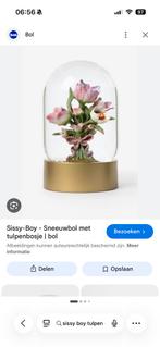 GEZOCHT! Sissy Boy sneeuwbol schudbol tulpen, Ophalen, Zo goed als nieuw