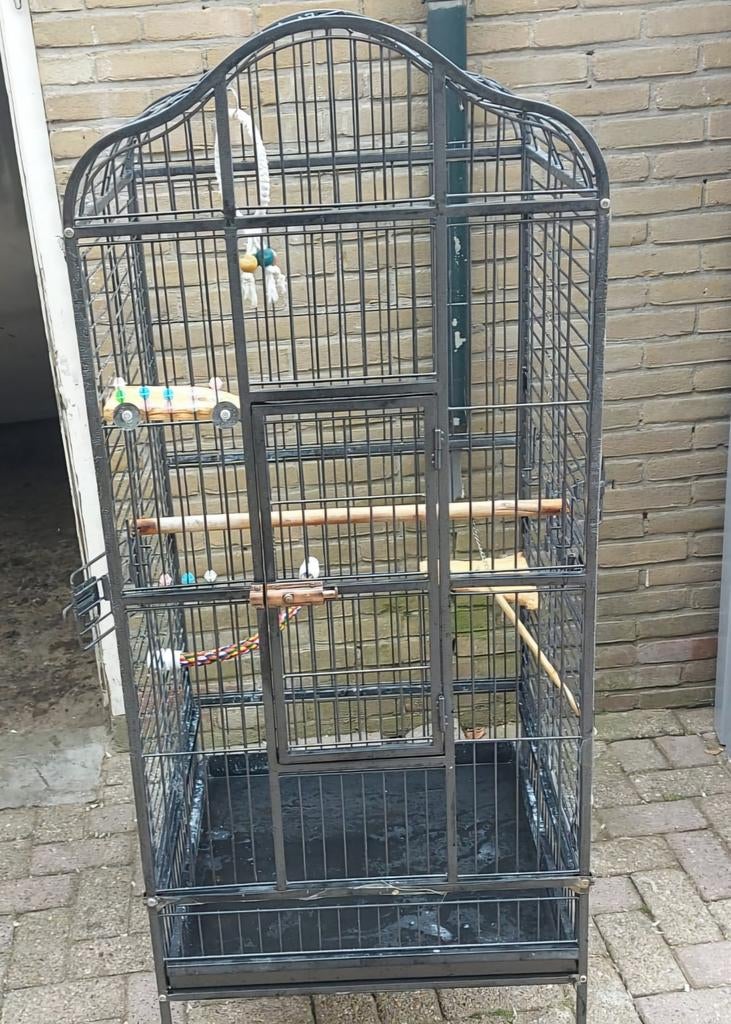 Vogelkooi metaal, Dieren en Toebehoren, Vogels | Hokken en Kooien, Ophalen, Gebruikt, Metaal, Vogelkooi