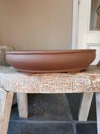 Bonsai pot 41.5 x 33.5 x 9
Nieuw, Steen, Minder dan 30 cm, ., Ophalen of Verzenden