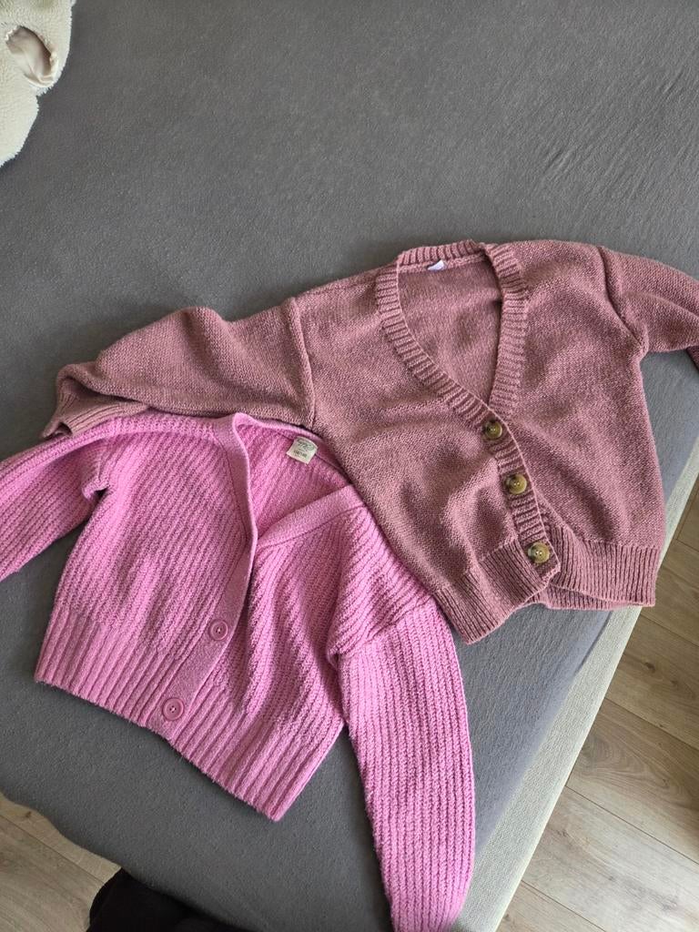 2 leuke nette meisjes vesten maat 134/140, Kinderen en Baby's, Kinderkleding | Maat 134, Ophalen, Gebruikt, Meisje, Trui of Vest