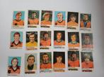 Voetbalplaatjes oranje nl 1977 hanegem schrijvers neeskens, Ophalen of Verzenden, Overige binnenlandse clubs, Poster, Plaatje of Sticker
