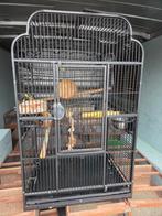 Papagaaien kooi, Ophalen of Verzenden, Zo goed als nieuw, Metaal, Vogelkooi