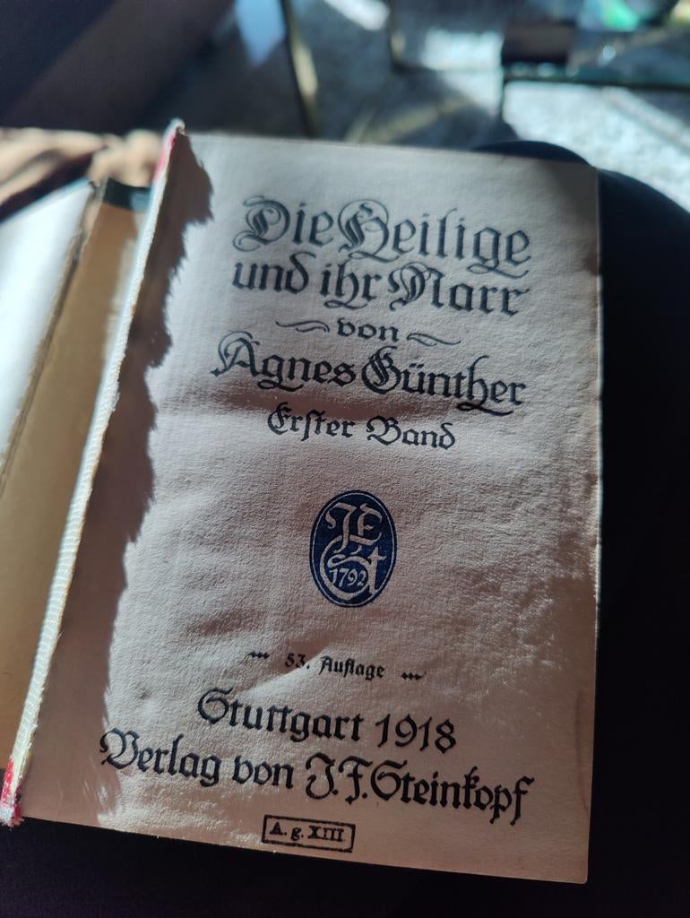 Die Heilige und ihr Narr - Agnes Günther (1918), Ophalen of Verzenden, Gelezen, Agnes Günther, Europa overig
