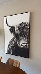 Canvas schotse hooglander, wanddecoratie, Ophalen, Zo goed als nieuw
