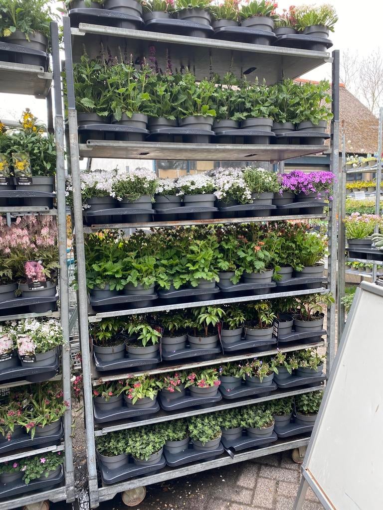 2 karren vol vast planten 2L potten, Ophalen, Zo goed als nieuw, Kunststof, Overige typen