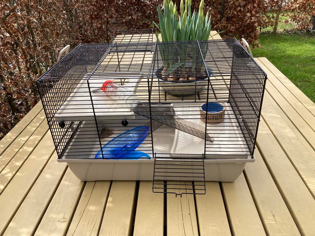 Hamster kooi met extra toebehoren, Kooi, Gebruikt, Minder dan 75 cm, Hamster