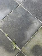 50 betontegels 50x50 GRATIS af te halen, Tuin en Terras, Tegels en Klinkers, Ophalen, Gebruikt, Beton, Terrastegels