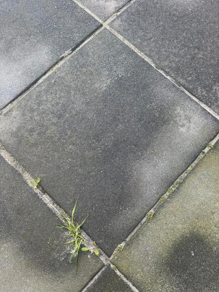 50 betontegels 50x50 GRATIS af te halen, Tuin en Terras, Tegels en Klinkers, Gebruikt, Terrastegels, Beton, Ophalen