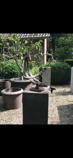 Colorato terracotta pot vaso con due | Terracotta Bloempot, Rond, Nieuw, Ophalen of Verzenden, Balkon