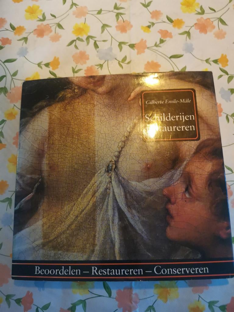 Schilderijen Restaureren: Beoordelen, Ophalen of Verzenden, Gelezen, Schilder- en Tekenkunst, Gilberte Emile-Mâle