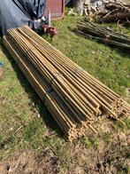Bamboe stokken, tonkinstokken, moestuin, planten stokken, Ophalen, Nieuw, 180 tot 250 cm, Palen