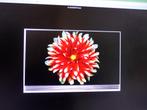 LG 65 OLED E 7 V 65inch DOLBY VISIONSMART.. WiFi. DE F E C T, Ophalen of Verzenden, 4k (UHD), OLED, 120 Hz