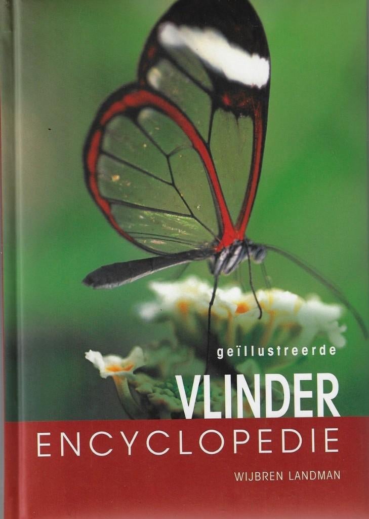 Geïllustreerde VLINDER encyclopedie, Ophalen of Verzenden, Zo goed als nieuw, Overige onderwerpen