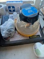 Kuiken kippen spullen, Ophalen, 110 cm of meer, Hok, Minder dan 60 cm