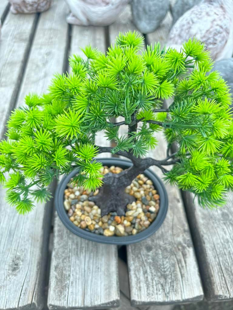 Kunst plant bonsai, Ophalen, Nieuw