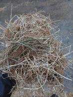 Graszaadhooi, Ophalen