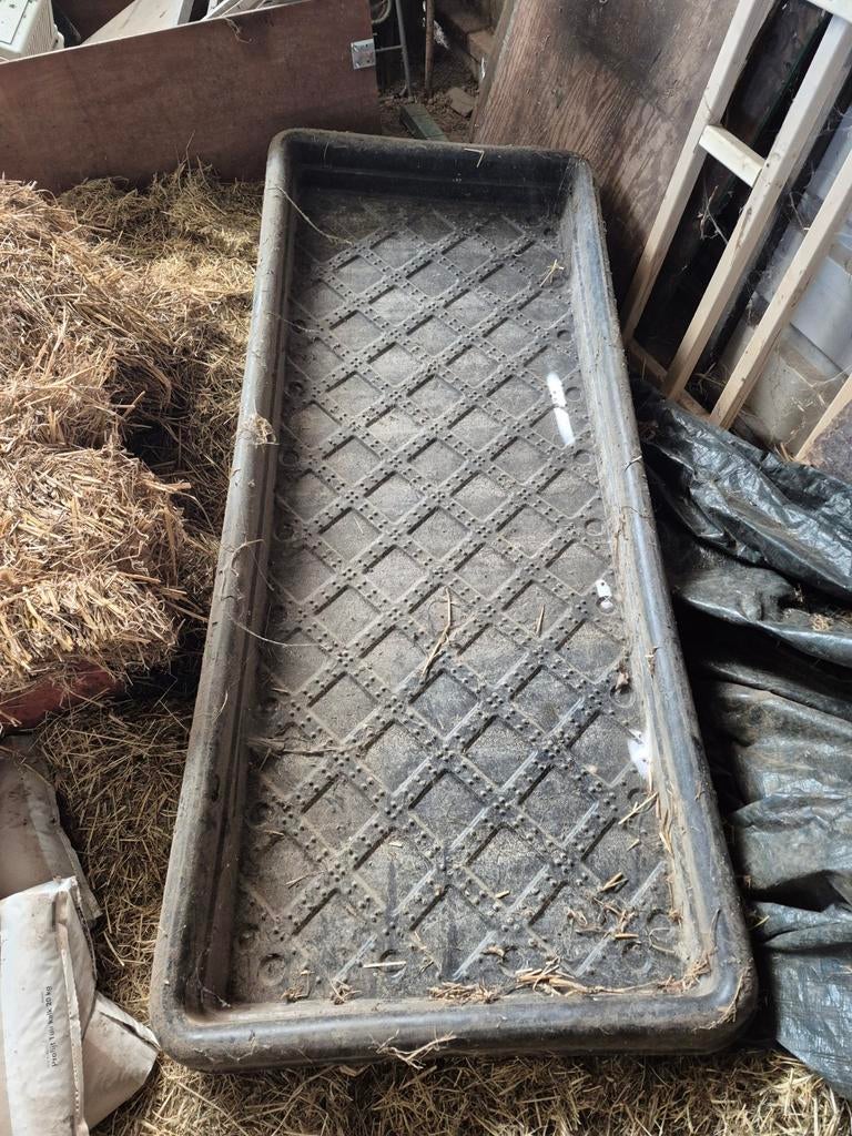 Voetbad voor vee, Geslacht onbekend