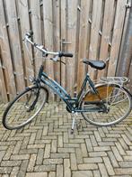 Gazelle Davos, maat 57  Nexus 7 speed, Ophalen, Gebruikt, Versnellingen, 56 cm of meer