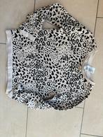 Nieuw trui Palomino maat 128, Kinderen en Baby's, Kinderkleding | Maat 128, Ophalen of Verzenden, Nieuw, Meisje, Trui of Vest