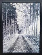 Schilderij: Pad in het bos. Zwart wit, Ophalen, Gebruikt, Schilderij, 75 cm of meer