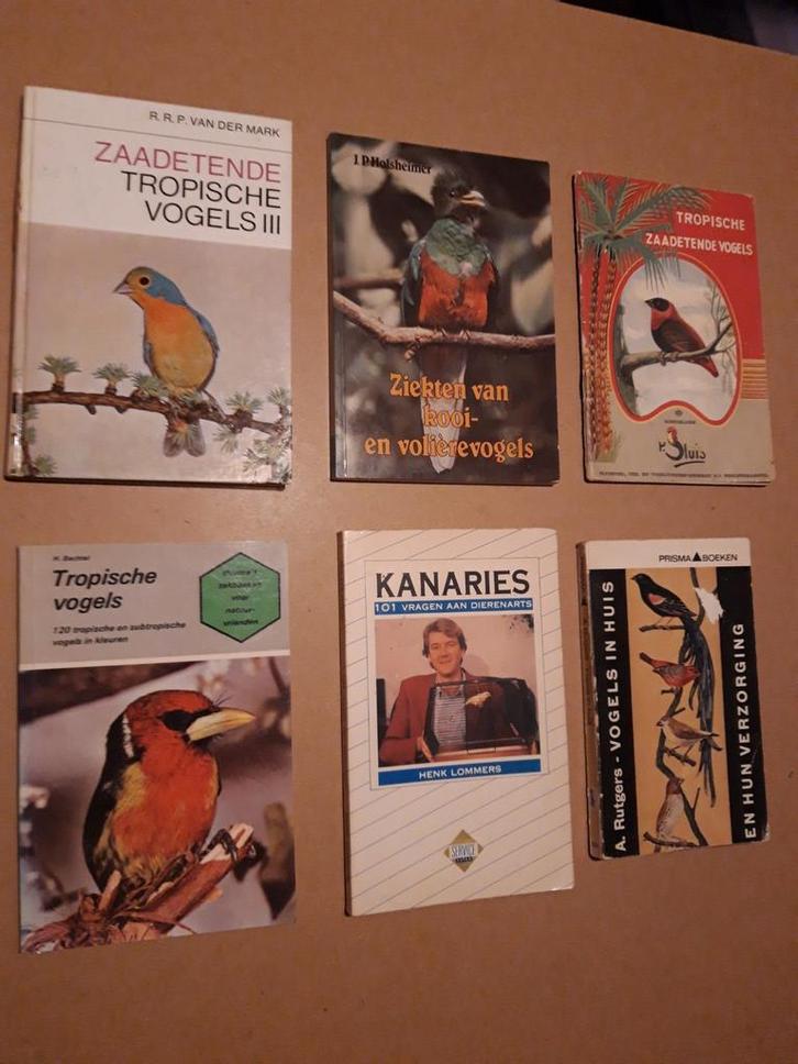 Ca. 10 Vogelboeken - Nette Staat, Boeken, Natuur, Zo goed als nieuw, Vogels, Ophalen of Verzenden