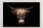 Plexiglas schilderij Schotse Hooglander 60x90, Ophalen, Zo goed als nieuw