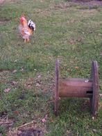 Zweedse bloemenkip haan, Mannelijk, Kip