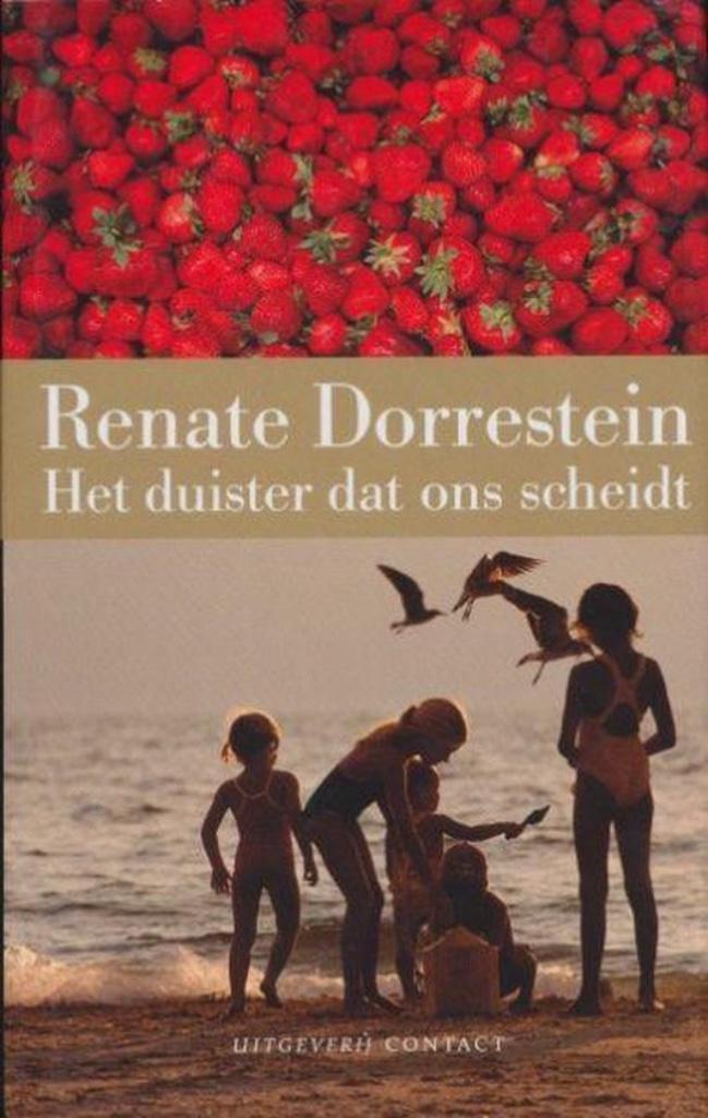 het Duister dat ons Scheidt, Boeken, Schoolboeken, Zo goed als nieuw, Nederlands, HAVO, Ophalen of Verzenden
