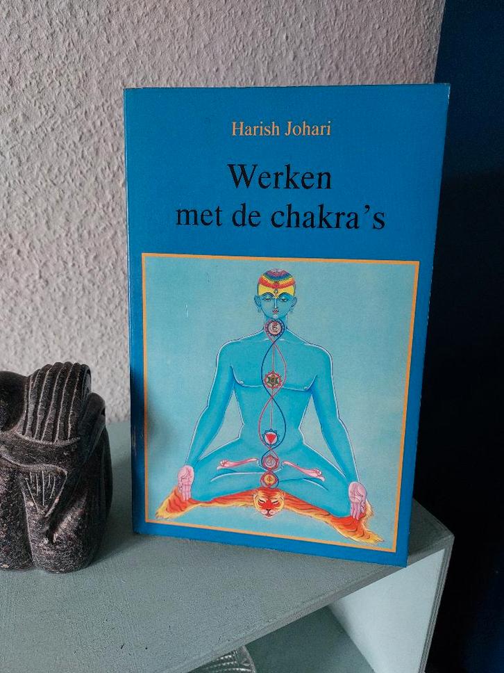 boek "Werken met de chakra's" van Harish Johari, Boeken, Esoterie en Spiritualiteit, Zo goed als nieuw, Overige typen, Spiritualiteit algemeen