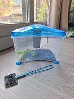 Aquarium, Ophalen, Zo goed als nieuw, Leeg aquarium