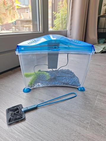 Aquarium  beschikbaar voor biedingen