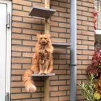 Kattentrap op Maat - Katten Ladder, Ophalen of Verzenden, Nieuw, Krabpaal