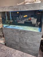 Aquaja aquarium 400L  - HVP aqua LED - Eheim Pro 5e 700 wifi, Ophalen, Gebruikt, Gevuld zoetwateraquarium