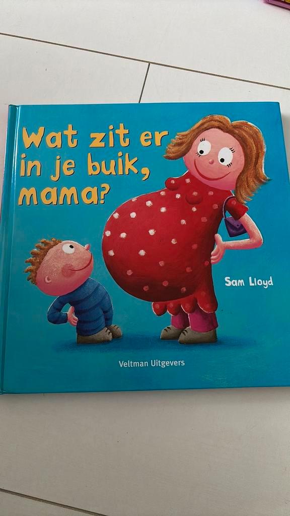 S. Lloyd - Wat zit er in je buik, mama? Broertje zusje boek, Boeken, Kinderboeken | Jeugd | onder 10 jaar, Zo goed als nieuw, Fictie algemeen