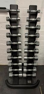 Set chrome dumbbells 1-10kg incl. dumbbell rek, Ophalen, Zo goed als nieuw, Dumbbell