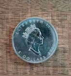 Maple Leaf 2000 - 1 oz, Ophalen of Verzenden, Zilver