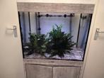 Aqualantis Aquarium, Dieren en Toebehoren, Ophalen, Zo goed als nieuw, Gevuld zoetwateraquarium