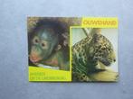 Rhenen, Ouwehands dierenpark 1985, Verzenden, 1980 tot heden, Gelopen, Utrecht